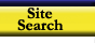 Site Search